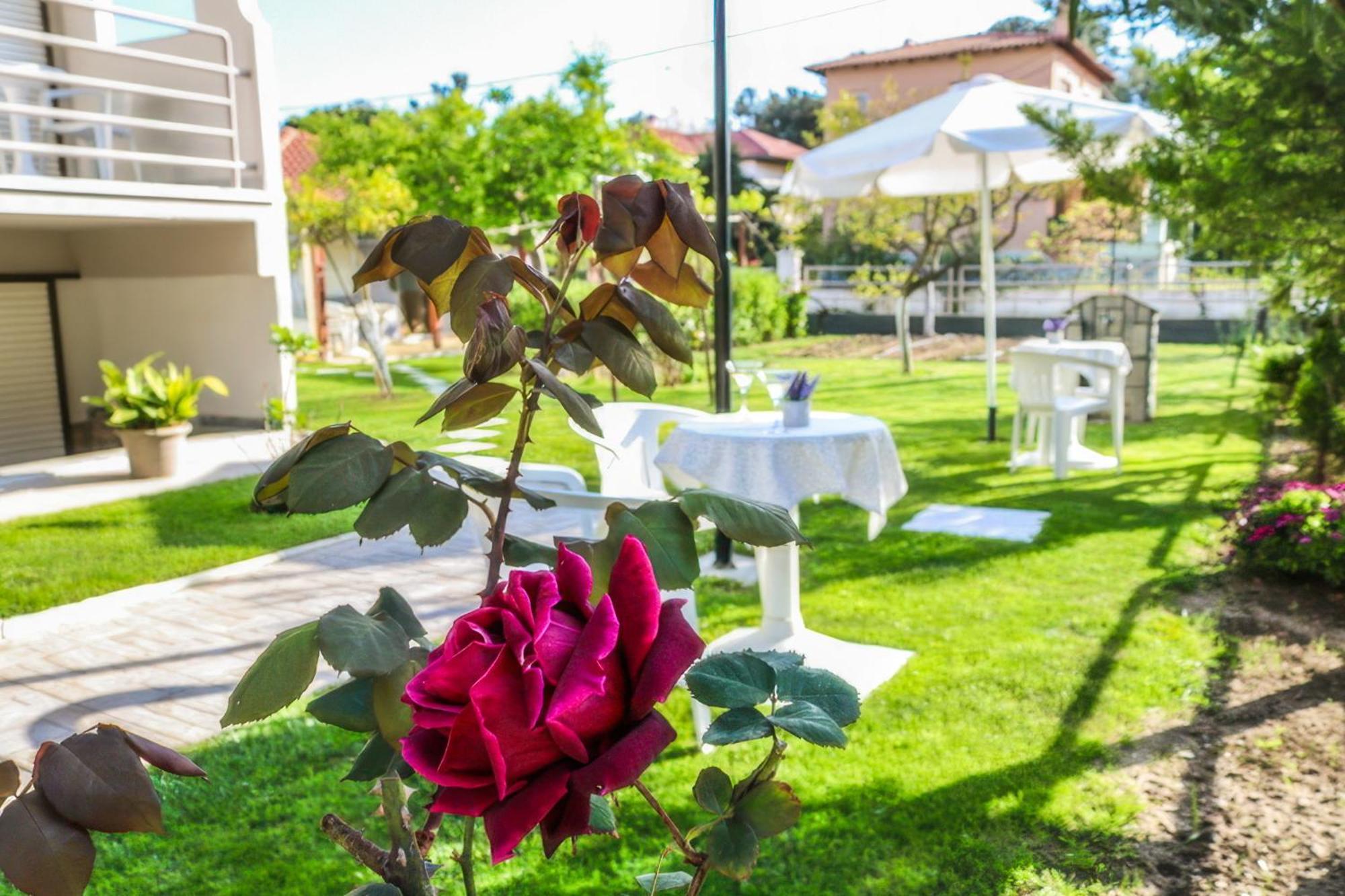 Vlachogiannis Hotel Prinos  Bagian luar foto