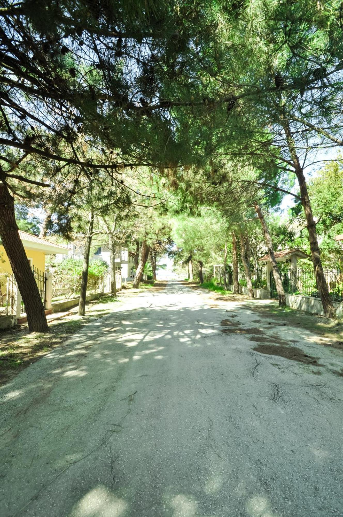 Vlachogiannis Hotel Prinos  Bagian luar foto